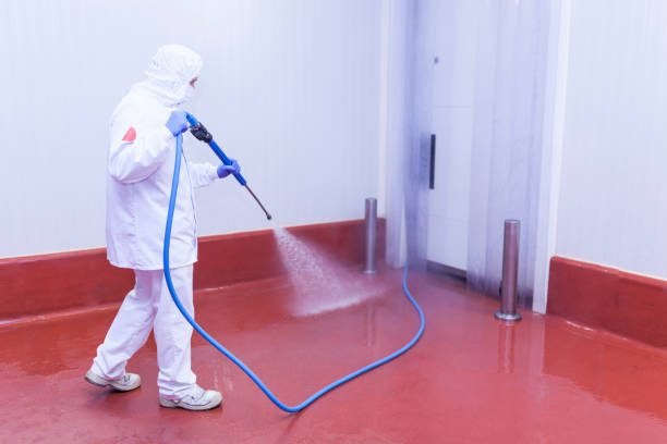 Animal Enclosure Cleaning in Cortez, FL